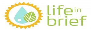 Life in Brief